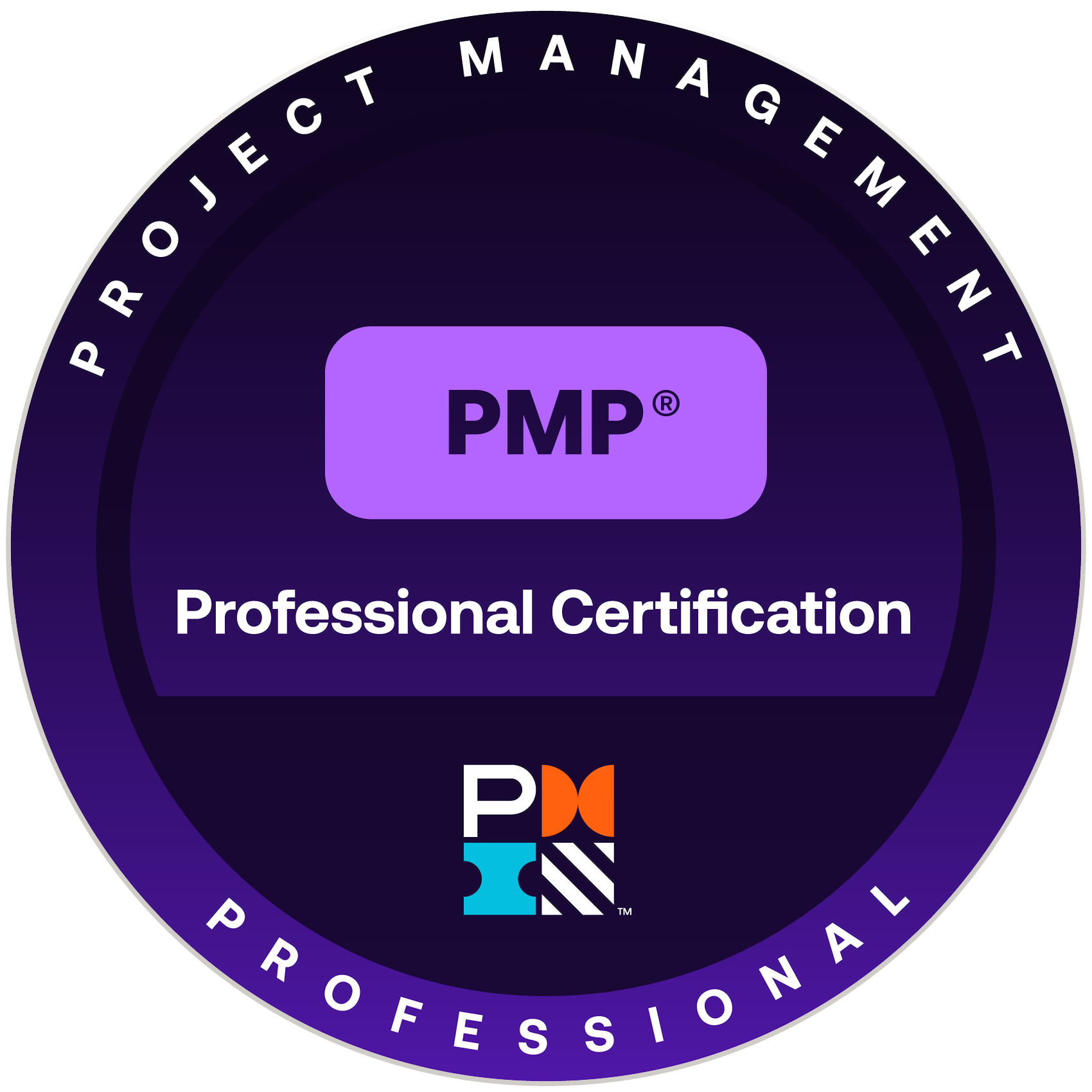 PMP Professional Certification